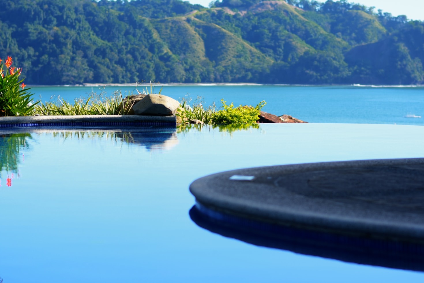 The Rise of Unique Vacation Rentals in Travel